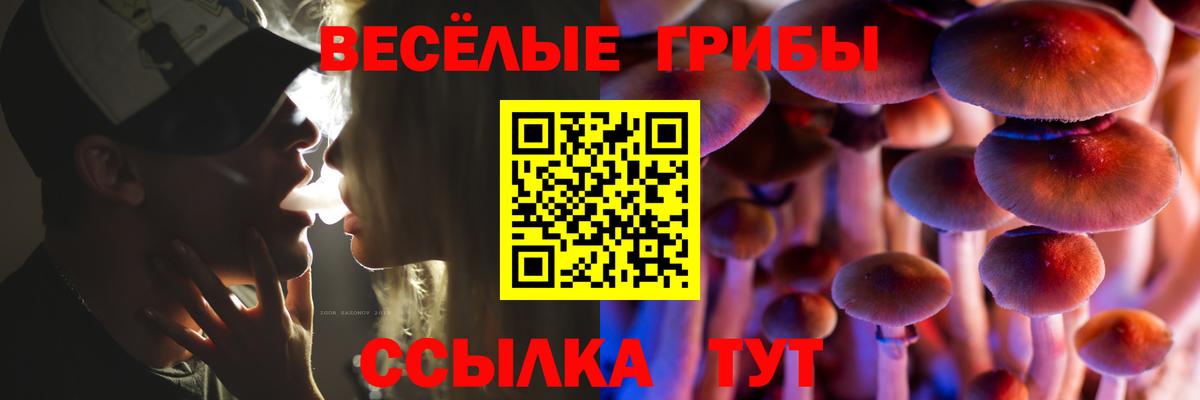Галлюциногенные грибы GOLDEN TEACHER  Вход с VPN  Добрянка 